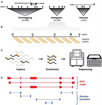 Targeted, High-Resolution RNA Sequencing of Non-coding Genomic Regions Associated With Neuropsychiatric Functions